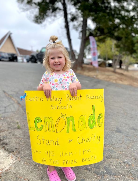 Lemonade Fundraising