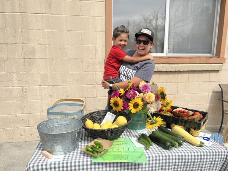 Lemonade stand PM