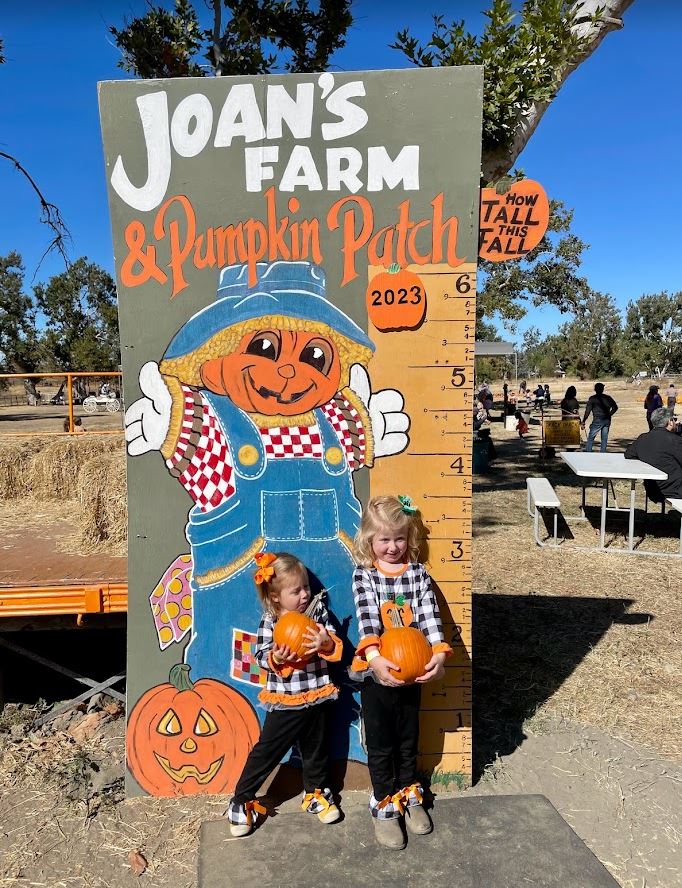 Pumpkin Patch