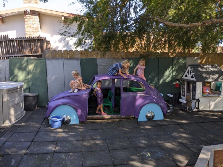 Backyard VW Bug