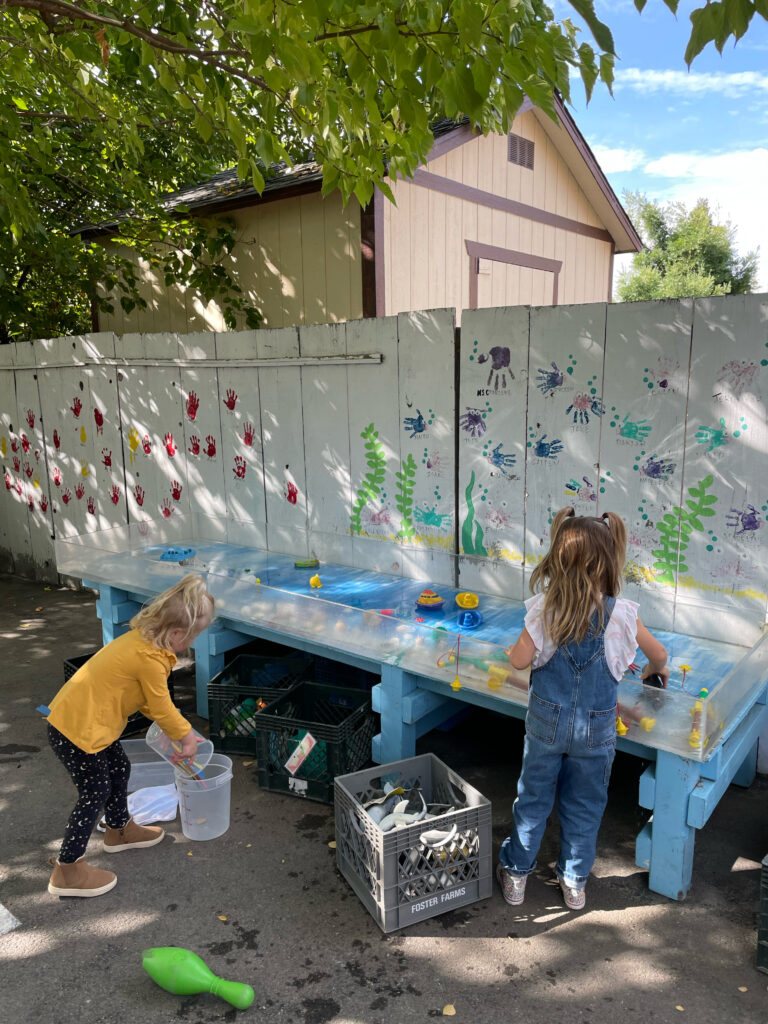 Backyard Water Table